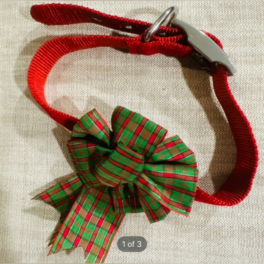 Holiday Pet Dog Collar